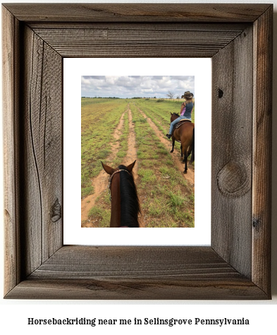 horseback riding near me in Selinsgrove, Pennsylvania